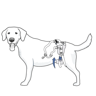setup-care-lift-rear-support-harness-illustration2