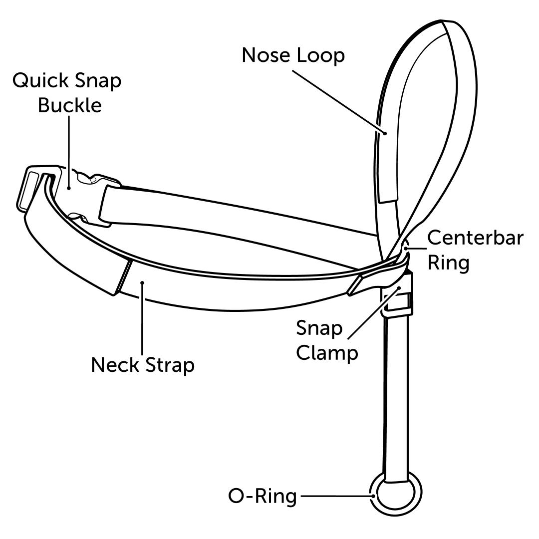 Gentle Leader Diagram