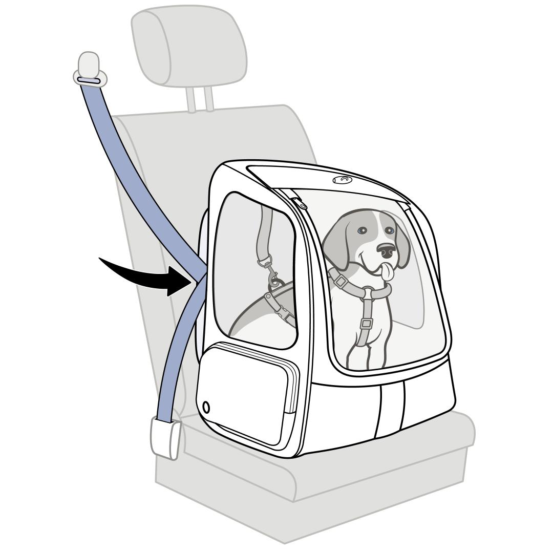 dog-in-carrier