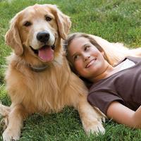 Girl laying against her Golden Retriever on the grass