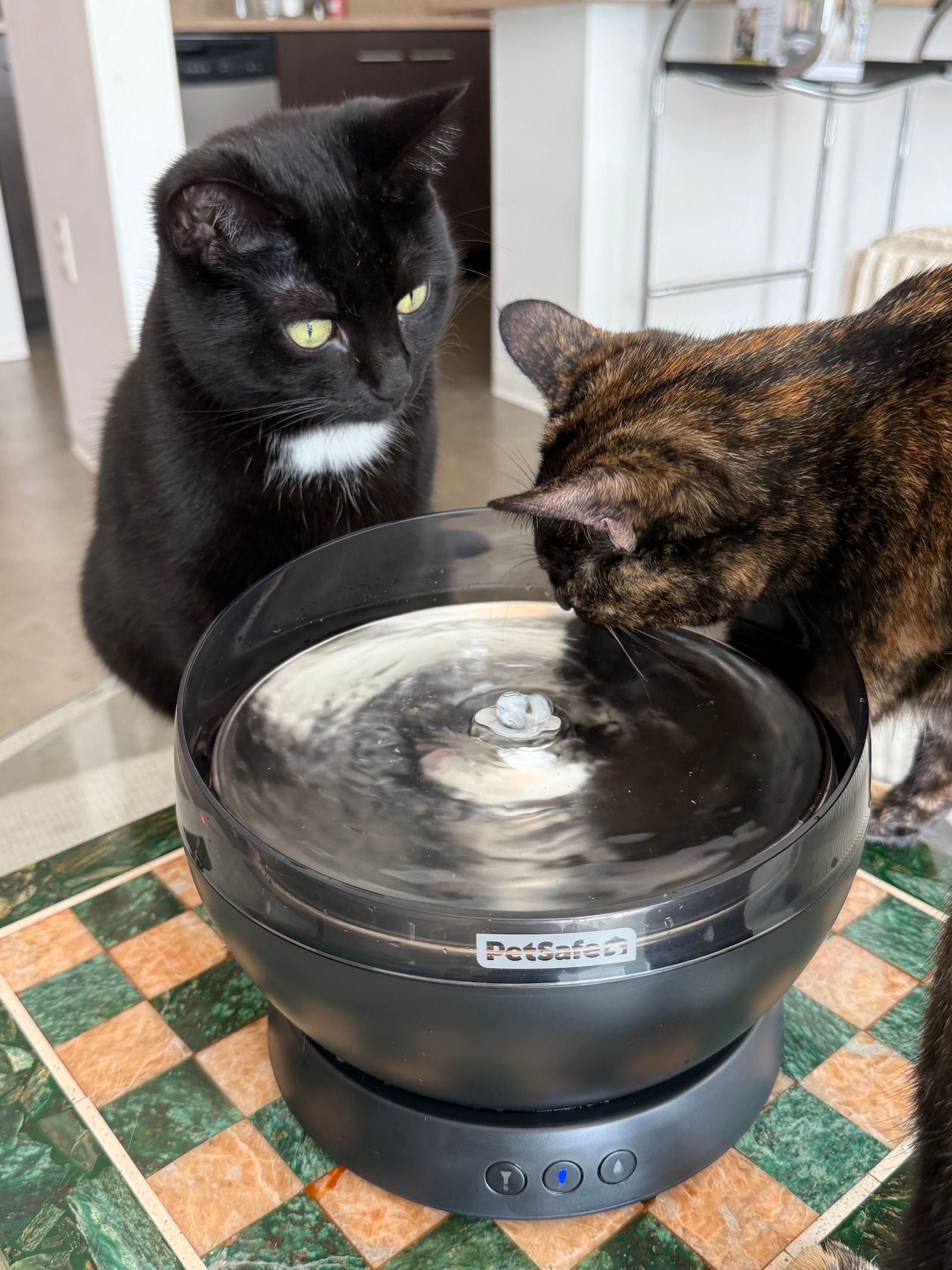 Two cats drinking from black Cordless HydroSphere fountain sitting on table