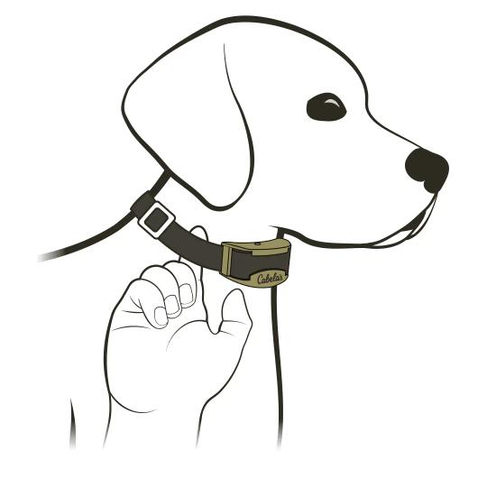 Cabela's Gun Dog GS-4100/8100_Fit 1 Finger Under Collar