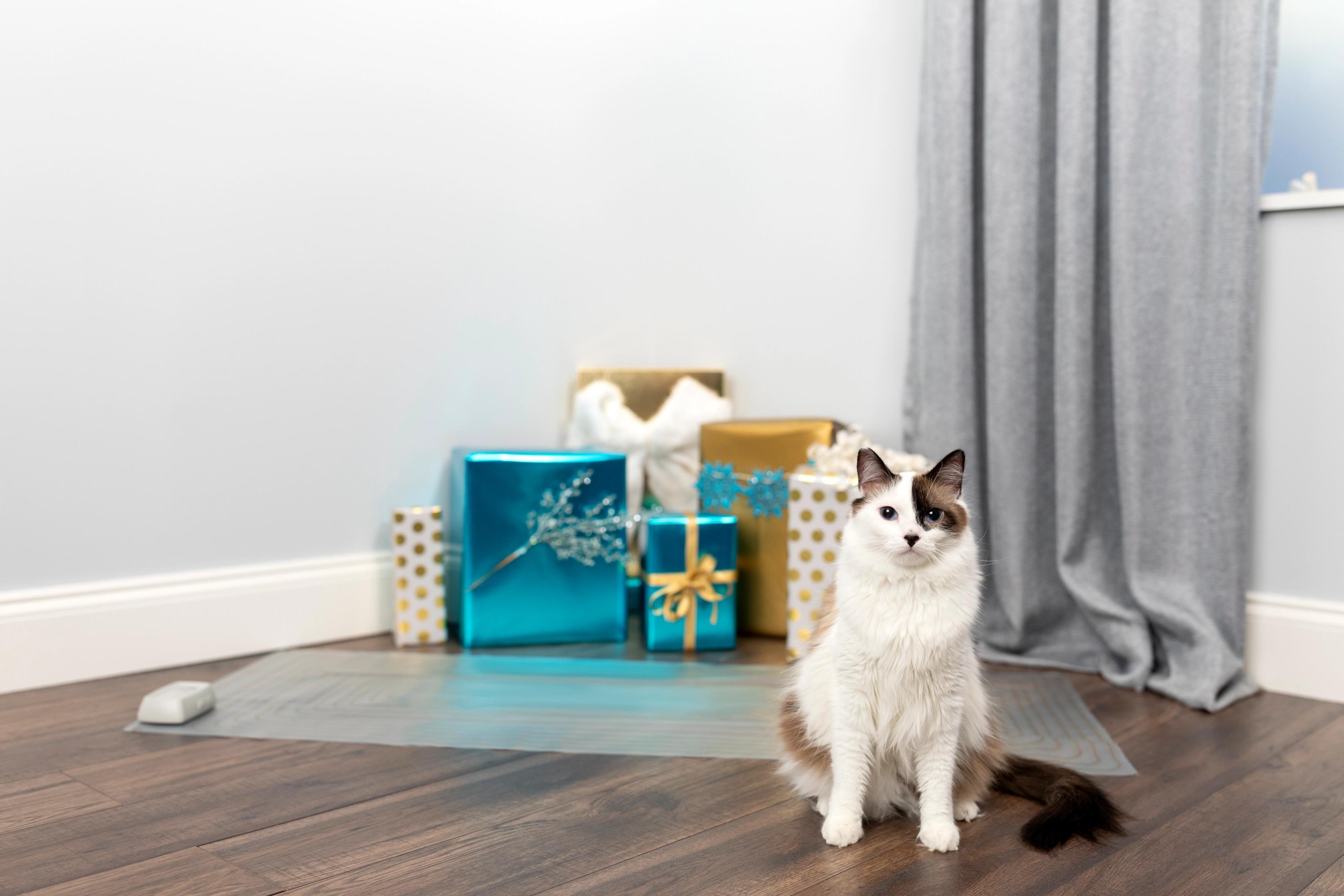 Cat standing on the other side of a ScatMat from wrapped gifts