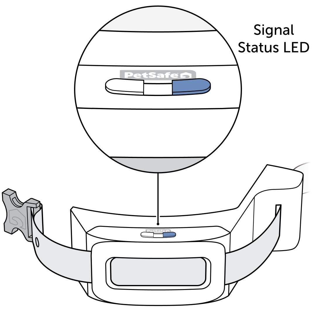 Signal Status LED