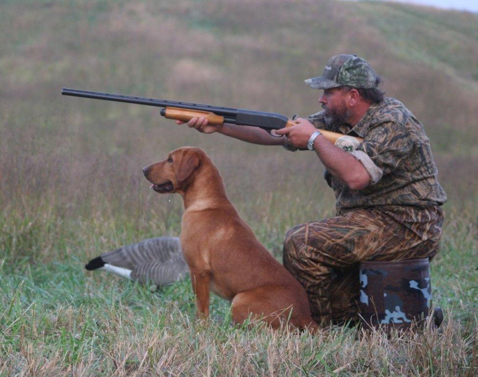 Tracy Hayes has lived a lifetime with gun dogs. His first two dogs were a gift from a family friend he received when he was 9 years old. Coming from a birddog family, his youth was filled with pointing dogs, quail, grouse and pointing dog field trials.  In his early...