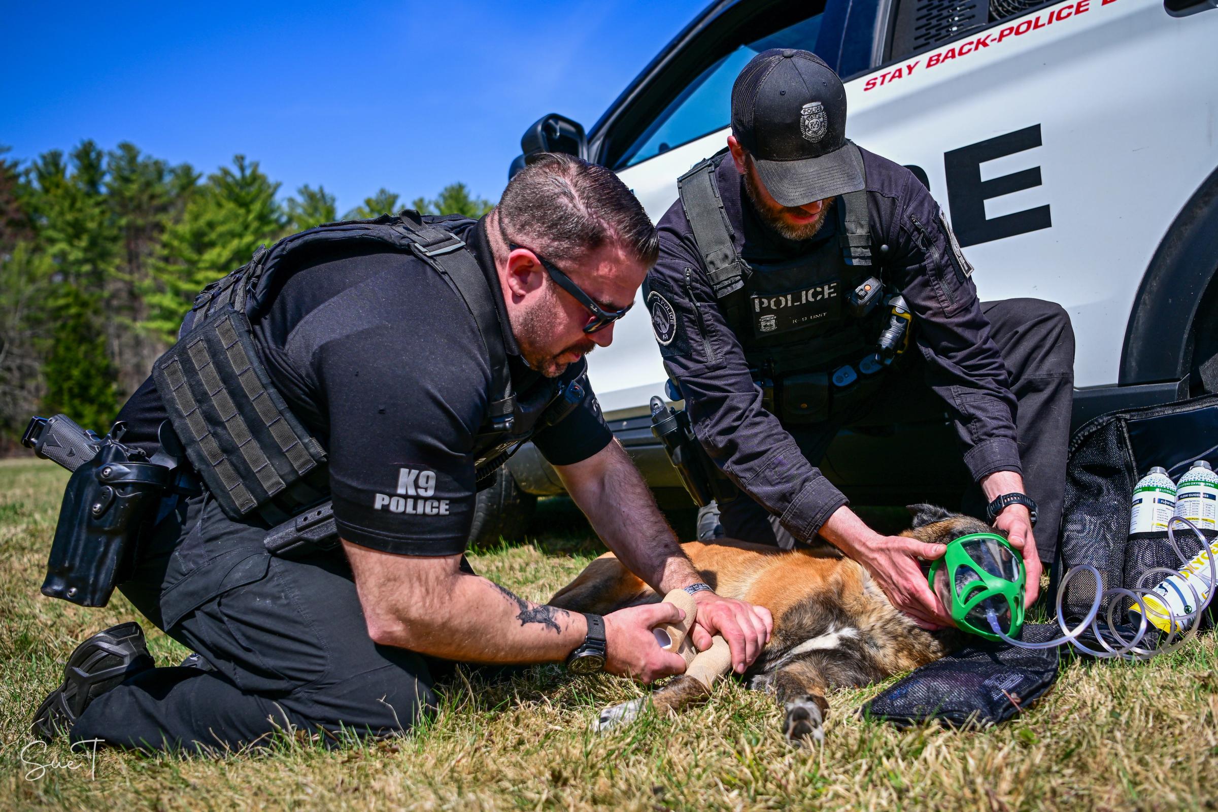 police officers using pet oxygen mask on german Shepard 