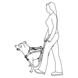 no-pull-training-walk-along-outdoor-harness-illustration2