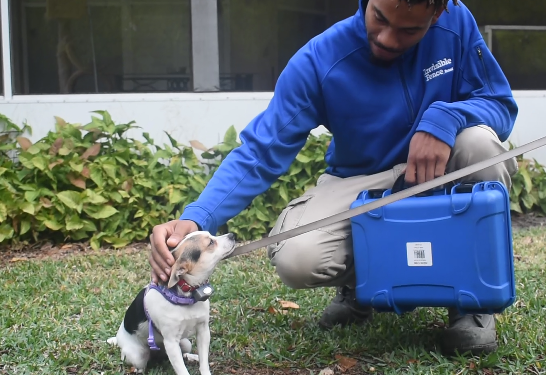 Invisible Fence trainer posing with a spaniel contained in a yard with an invisible fence