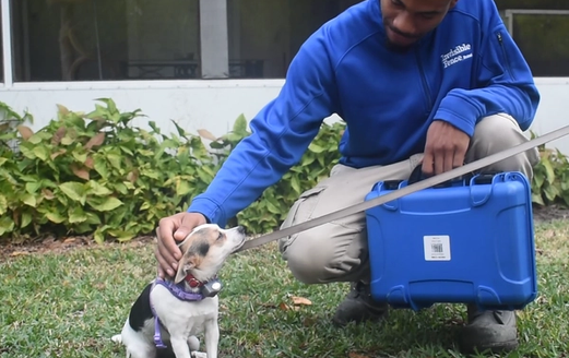 Invisible Fence trainer posing with a spaniel contained in a yard with an invisible fence