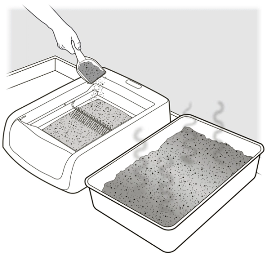 Sprinkle old litter into new box