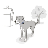 Wear collar outside