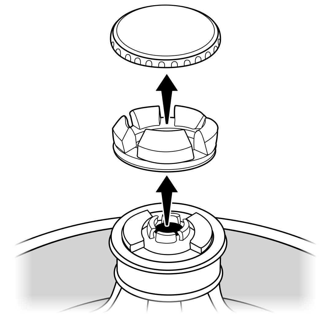 Exploded view of cap and spout ring