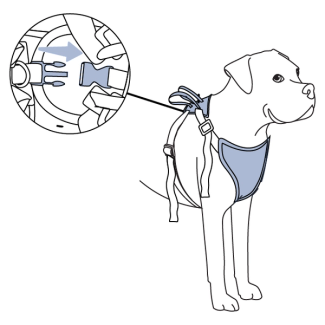 how-to-use-happy-ride-safety-harness-fit-harness-steps-illustration2