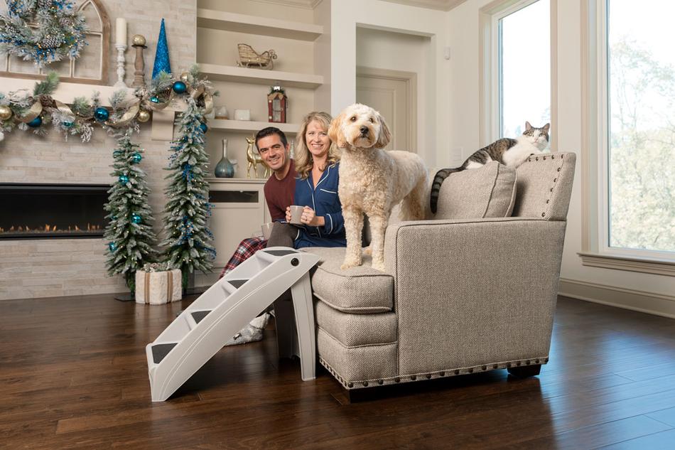cat playing with laser toy