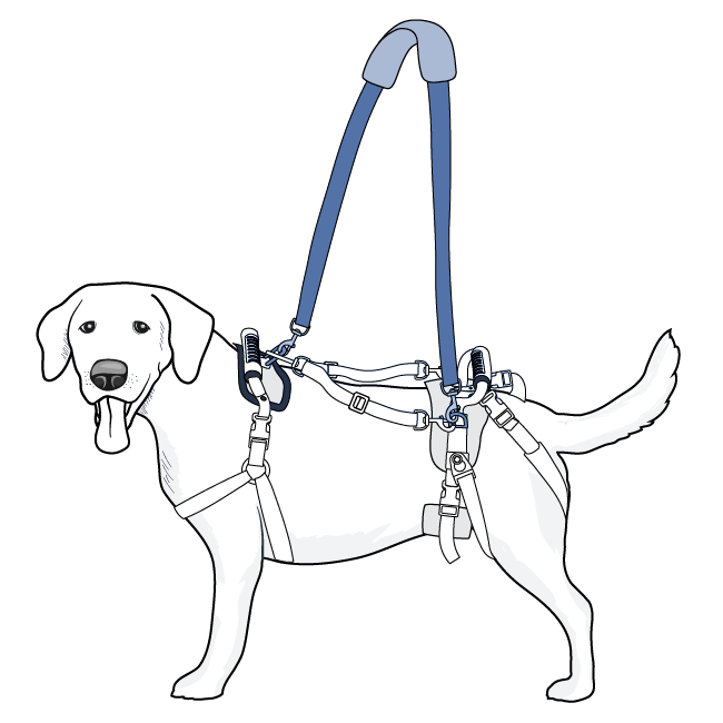 medium-large-care-lift-support-harness-illustration