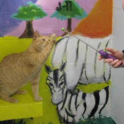 Learning How to Learn