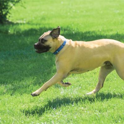 Easter Scavenger Hunt