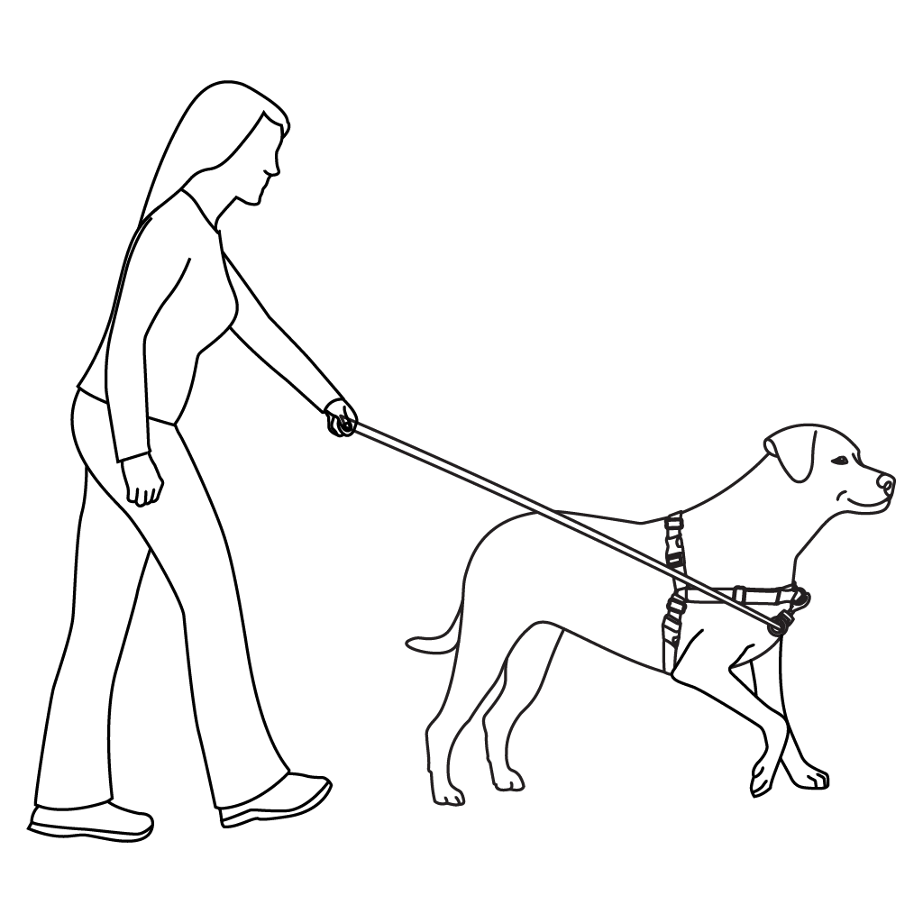 how-to-train-dog-easy-walk-harness-training-illustration2