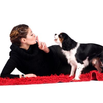 barking dog home alone