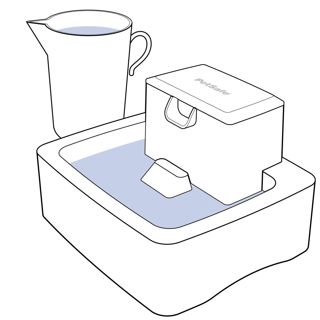 Pour Water Into Fountain