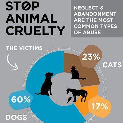 Prevent Animal Cruelty
