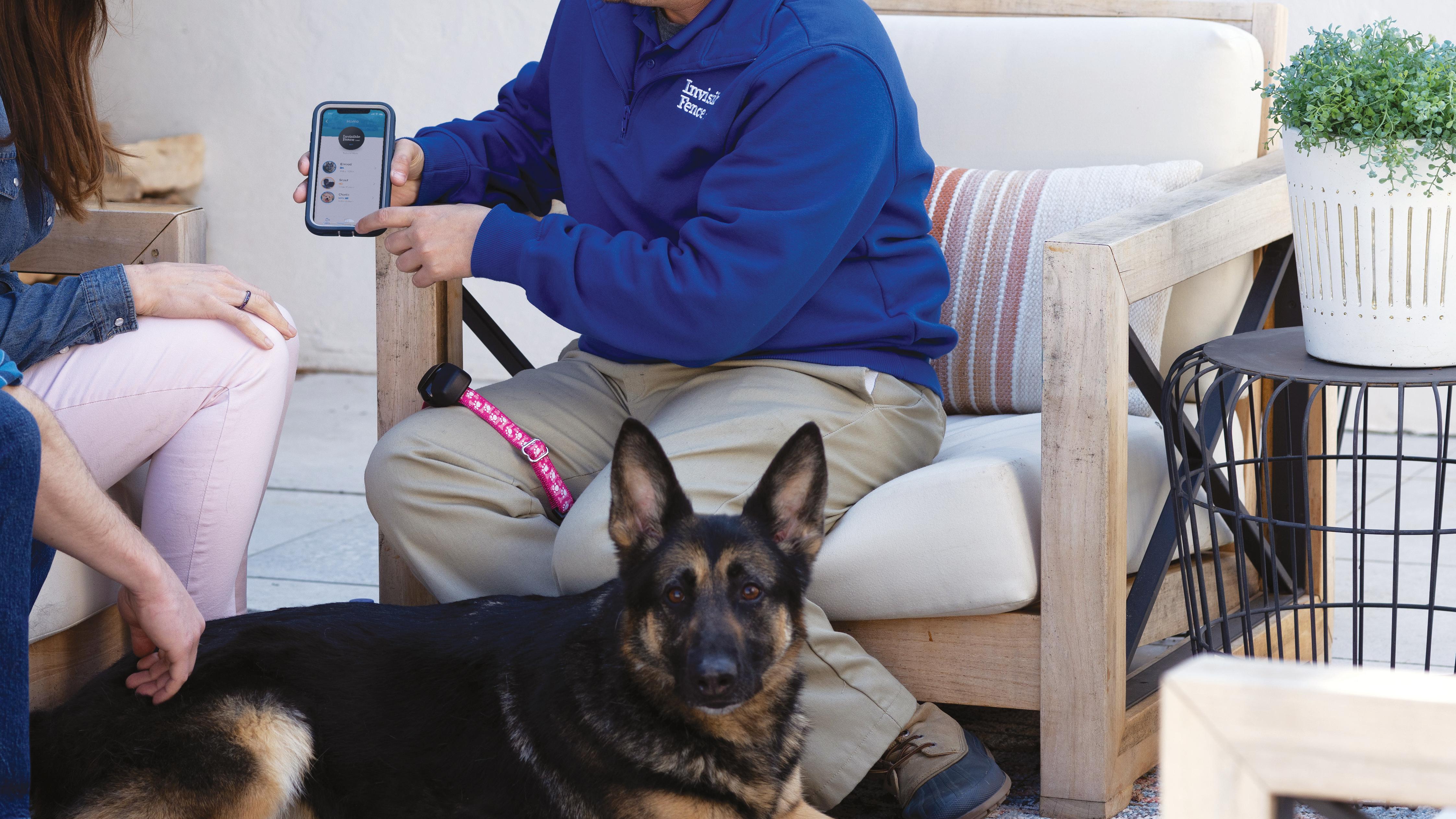 german shepard sits with invisible fence trainer while he programs the invisible fence collar