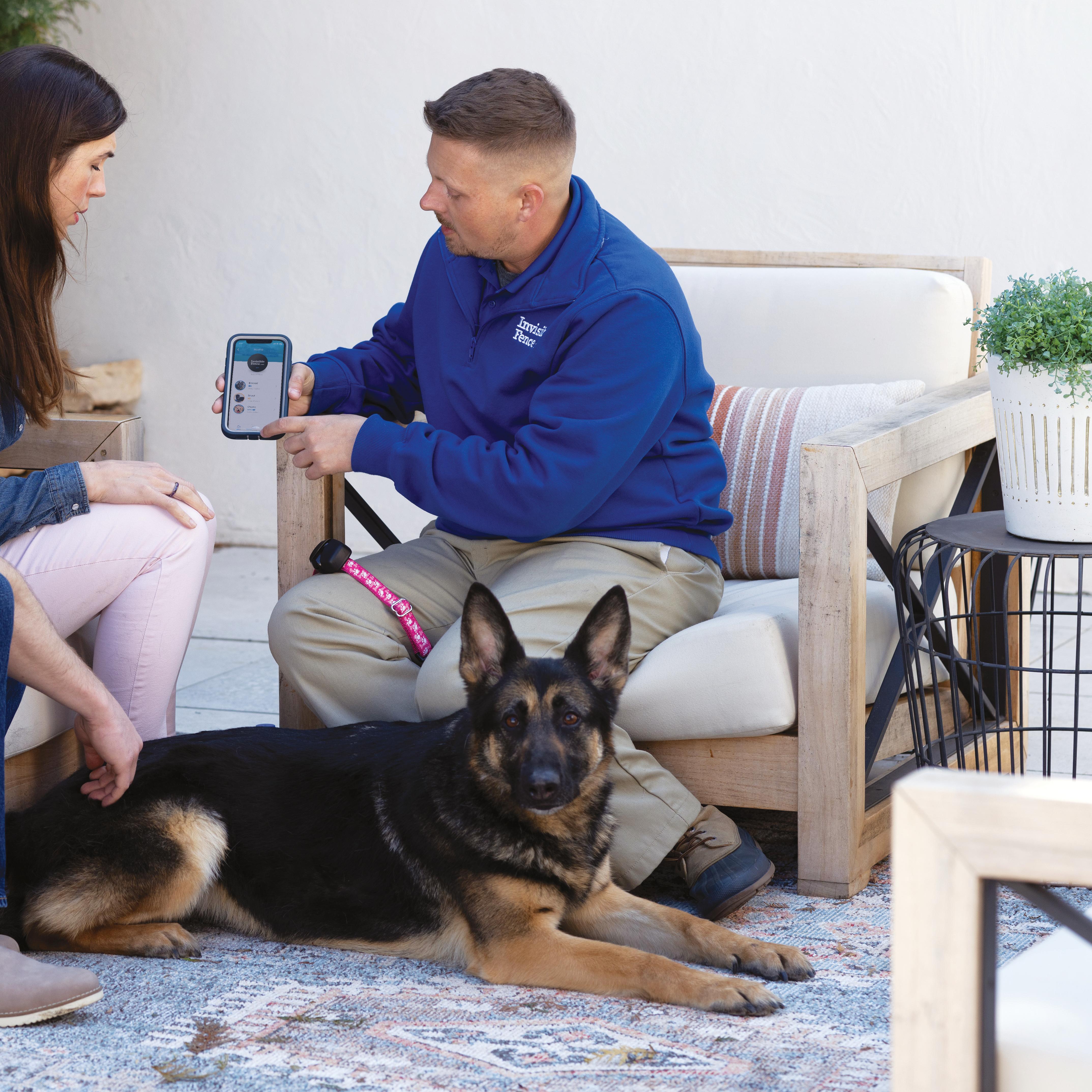 german shepard sits with invisible fence trainer while he programs the invisible fence collar