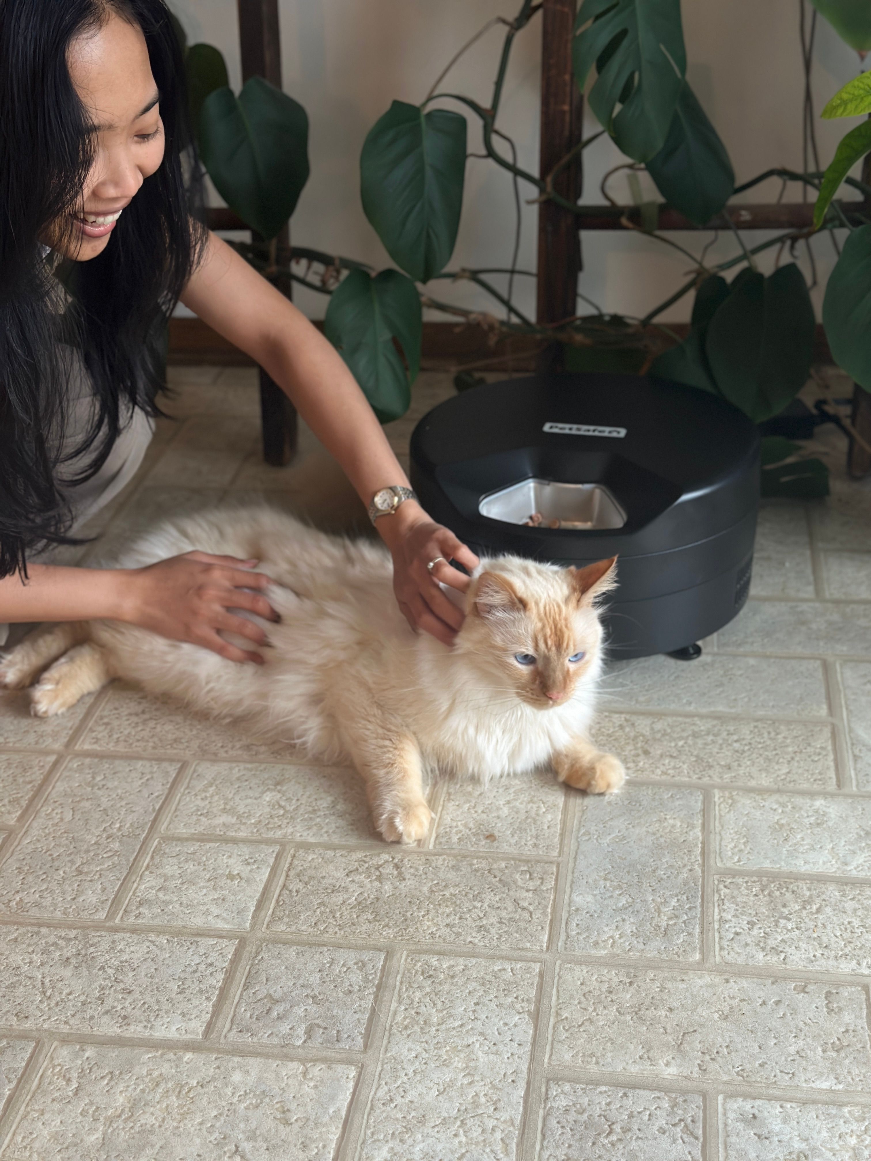 Woman petting fluffy cat