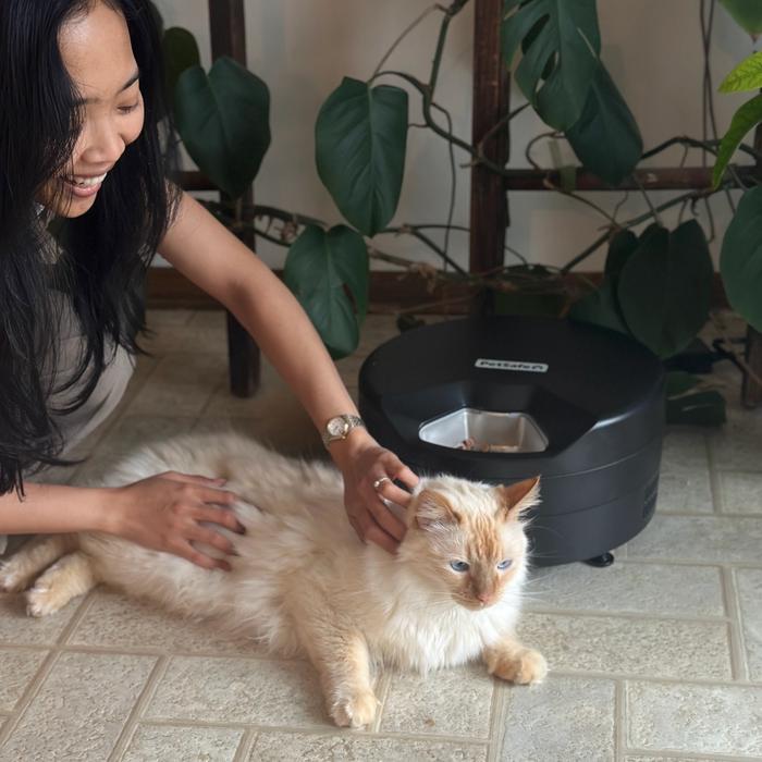 woman petting cat who is laying in front of black FreshFeed refrigerated pet feeder