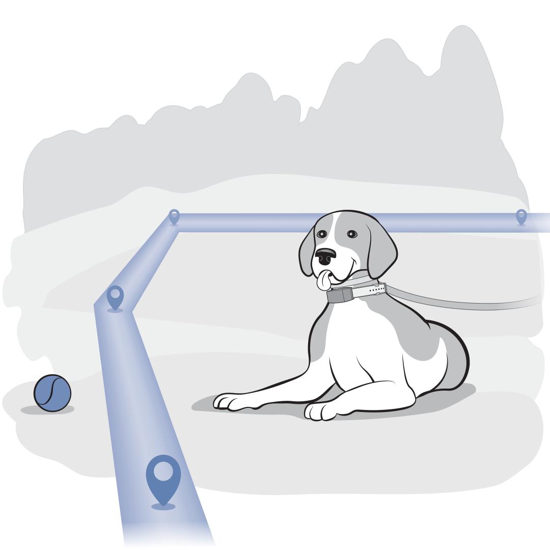 Train to Resist Distractions and Temptations_dog on leash