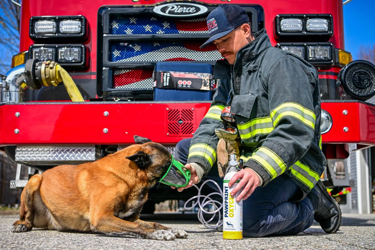 Firefighter demonstrating use of a pet oxygen mask
