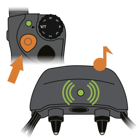 SD 425X_Testing Paired Remote