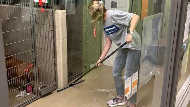 Woman scrubbing floor of animal shelter