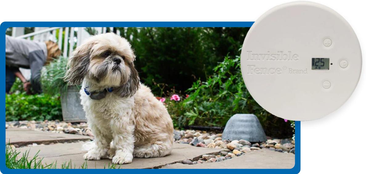 Invisible Fence avoidance shield with dog sitting on outdoor path in background