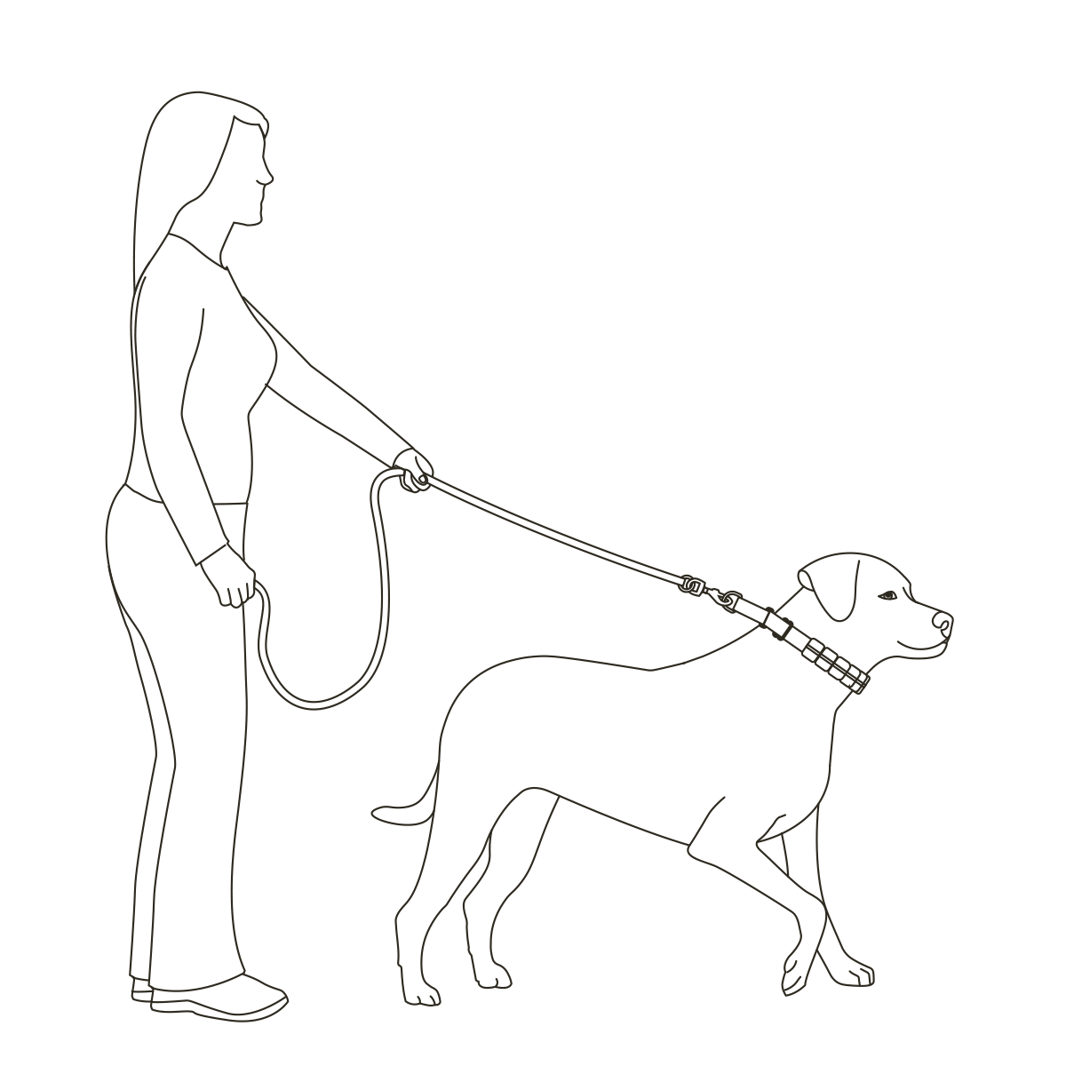 training-dog-with-soft-point-training-collar-illustration2