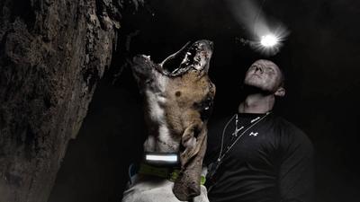 Hound Hunting