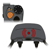 Collar light flashes red