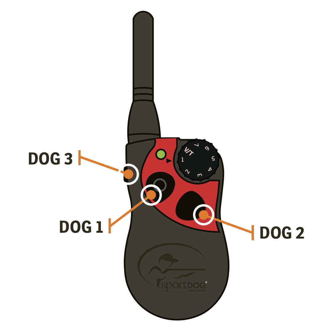 SIT MEANS SIT- HOW TO ADD ANOTHER COLLAR RECEIVER TO YOUR REMOTE ...