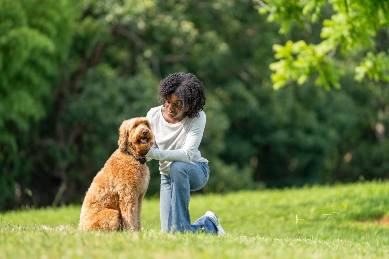 girl kneels in yard with goldendoodle