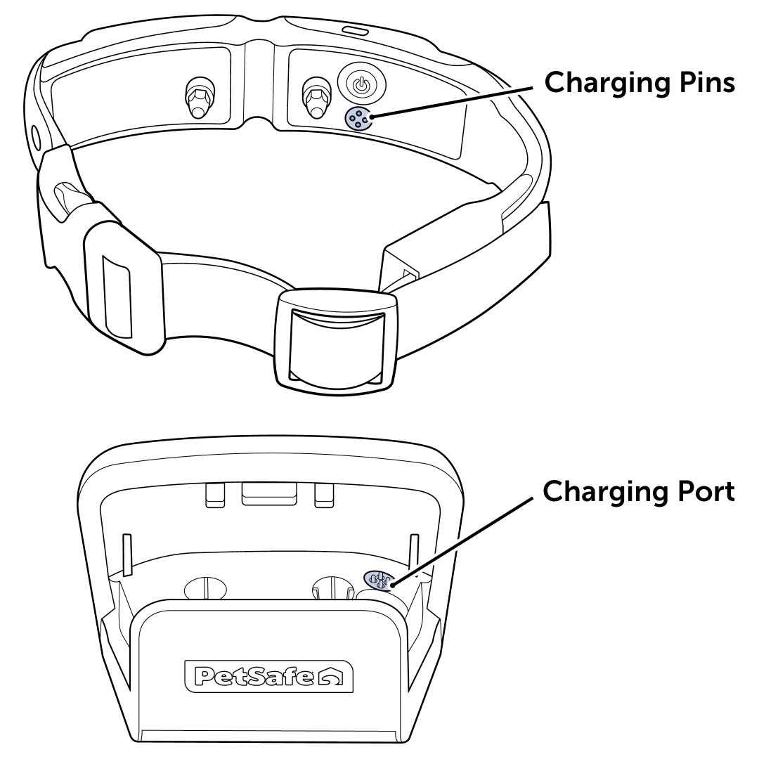 Connect Collar To Charging Base