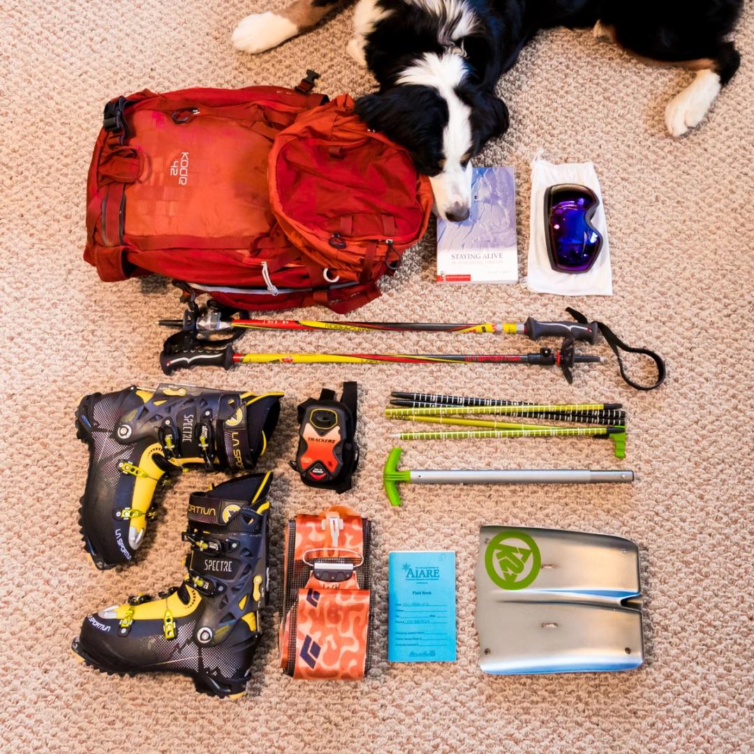 Tips & Tricks for Skiing with Your Dog