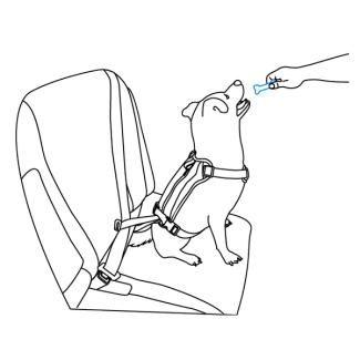 acclimate-pet-to-walk-along-outdoor-harness-vehicle-restraint-illustration3