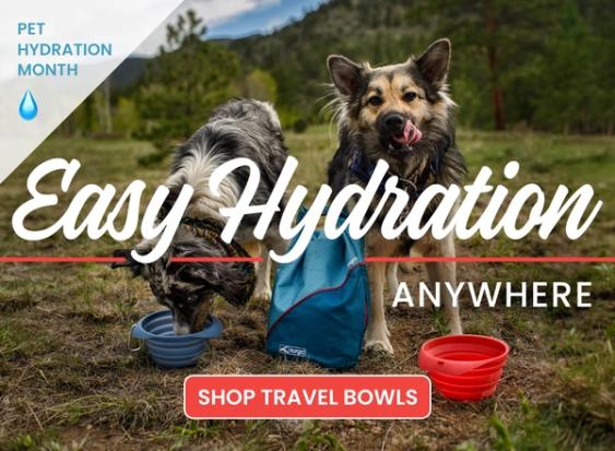 Pet Hydration Month: Shop Travel Bowls for Easy Hydration Anywhere
