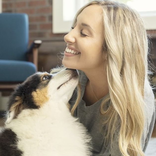 The Do’s And Don’ts For How Long You Can Leave a Dog Alone PetSafe®