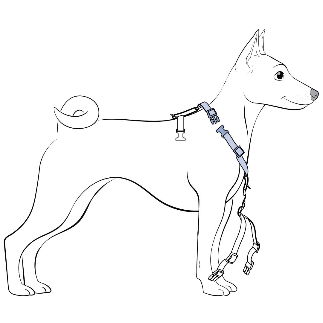 Fit Shoulder Straps Around Pet's Shoulders