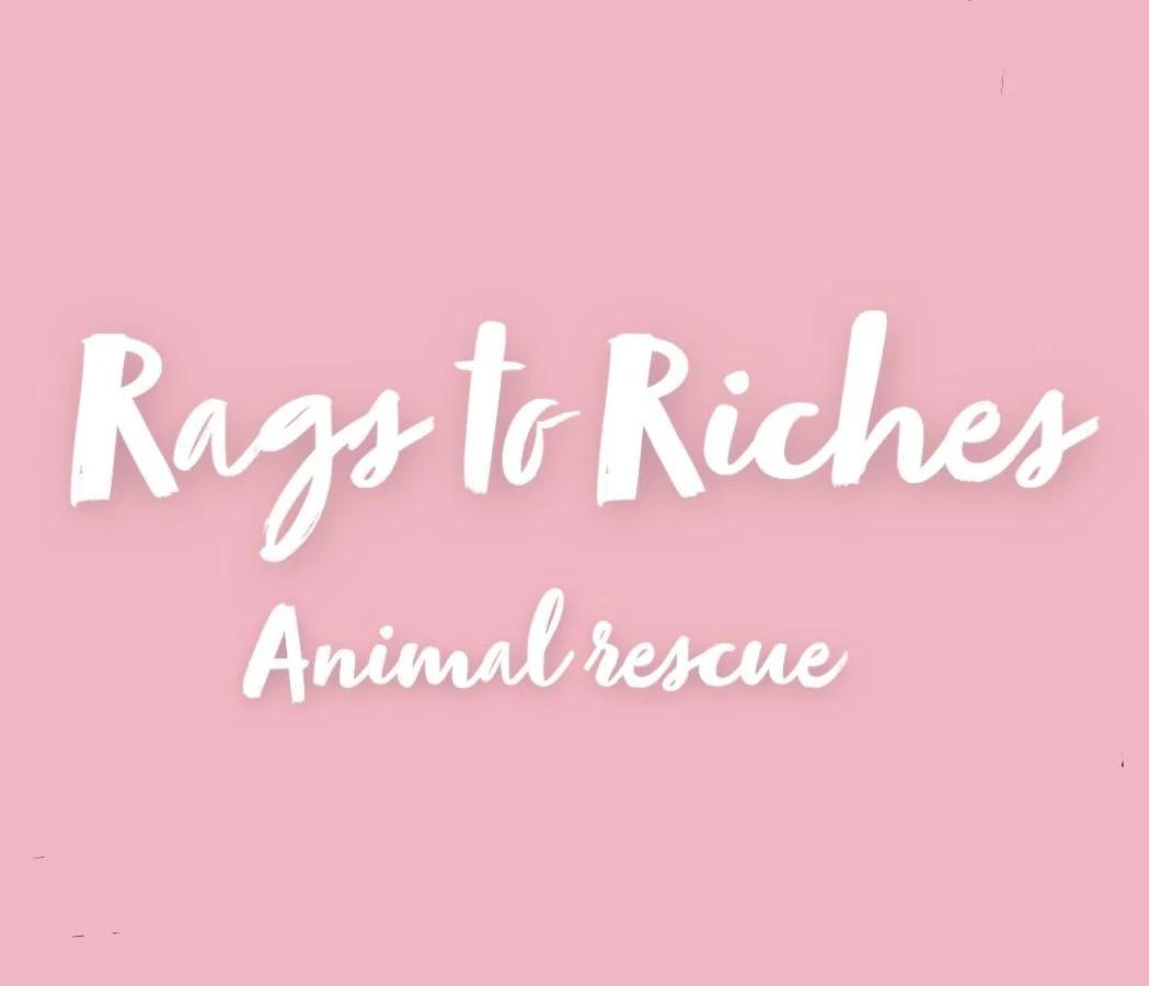 Rags to Riches Animal Rescue