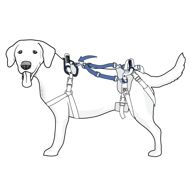 Rear Support Shell Harness How to Set Up Your CareLift™ Rear Support Harness