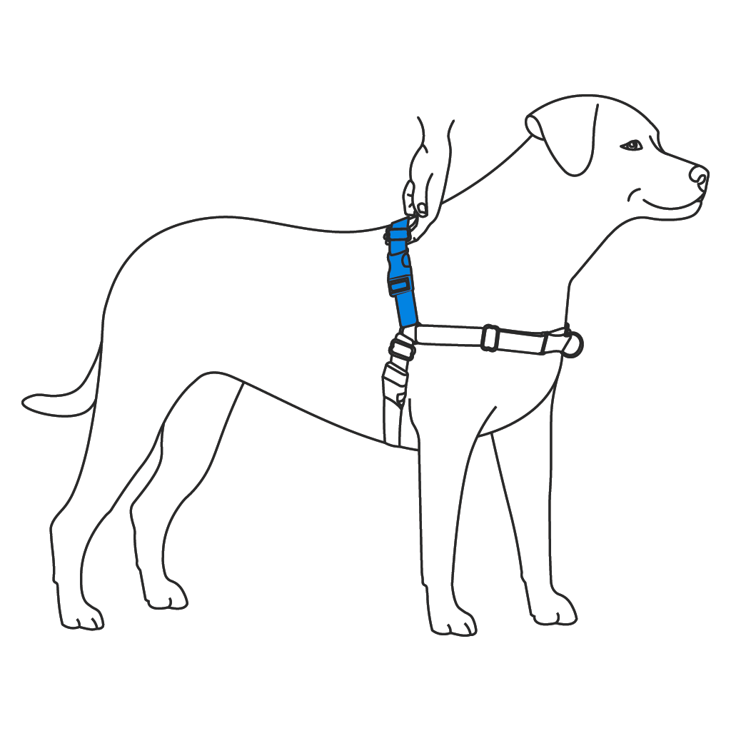 fit-girth-strap-easy-walk-harness-illustration2