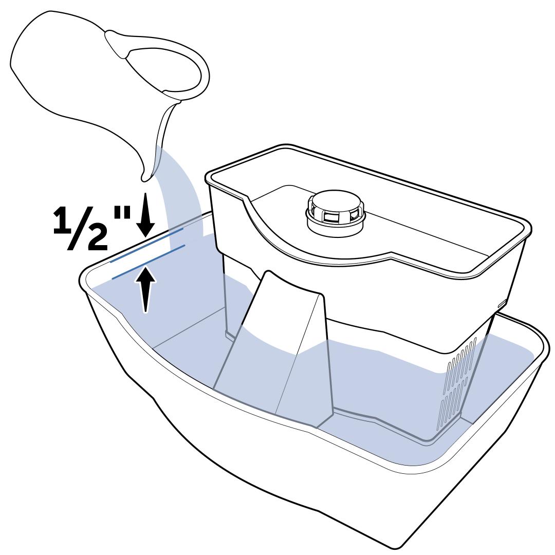 Pour Water Into Fountain