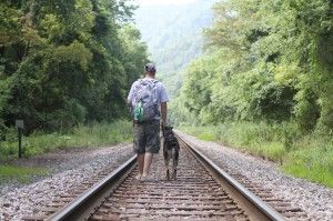 Hiking with your dog is a rewarding bonding experience for dog and owner.